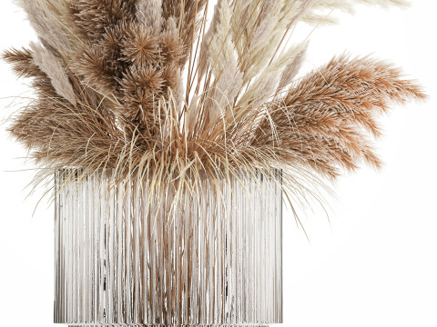Bouquet Of Dried Flowers Cortaderia Pampas Reed 496 3D Model
