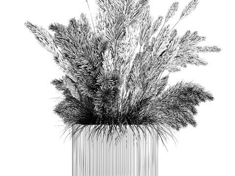 Bouquet Of Dried Flowers Cortaderia Pampas Reed 496 3D Model