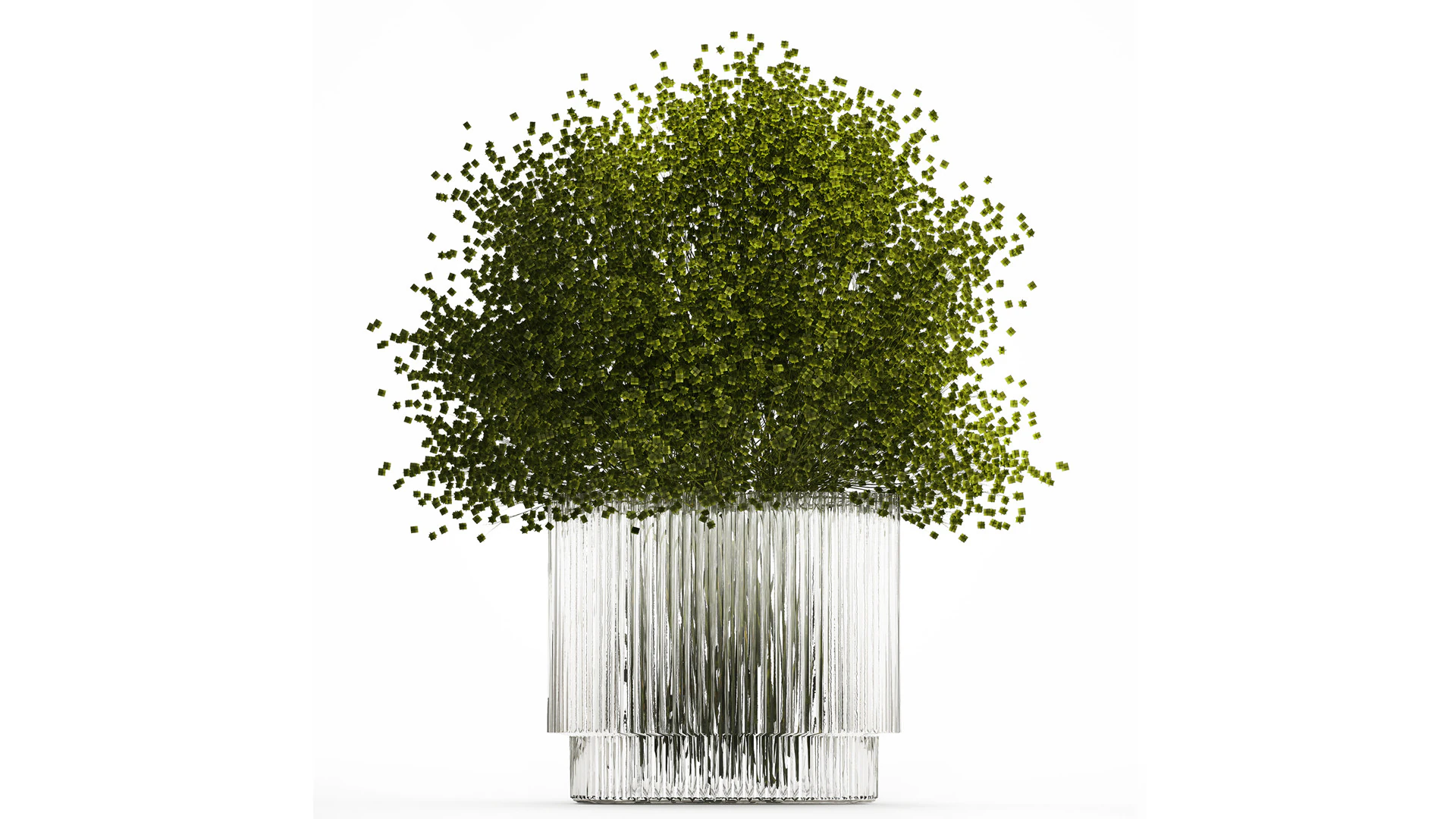 Bouquet Of Green Flowers Glass Vase Gypsophila 497 3D Model .c4d .max .obj .3ds .fbx .stl .blend 