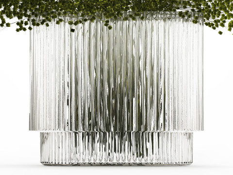 Bouquet Of Green Flowers Glass Vase Gypsophila 497 Model 3D