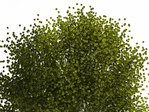Bouquet Of Green Flowers Glass Vase Gypsophila 497 Model 3D