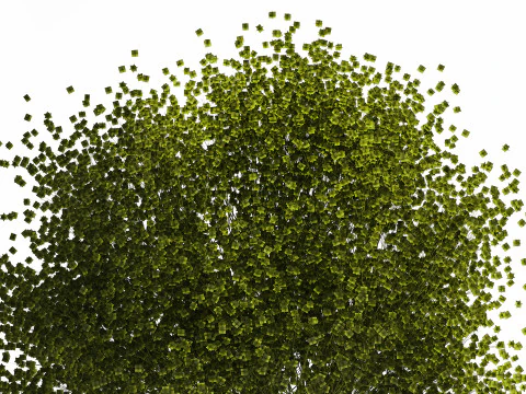 Bouquet Of Green Flowers Glass Vase Gypsophila 497 3D Model