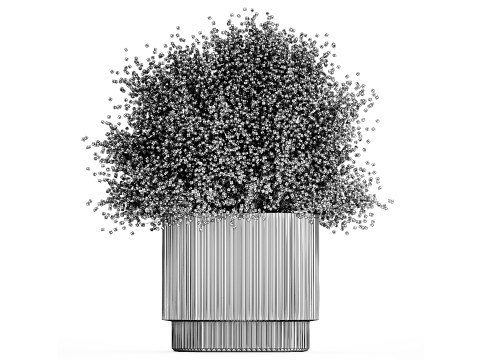 Bouquet Of Green Flowers Glass Vase Gypsophila 497 Model 3D