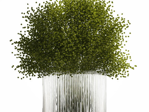 Bouquet Of Green Flowers Glass Vase Gypsophila 497 Model 3D