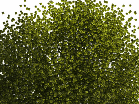 Bouquet Of Green Flowers Glass Vase Gypsophila 497 Model 3D