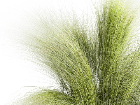 Bouquet green flowers in vase decorative grass 498 3D Model