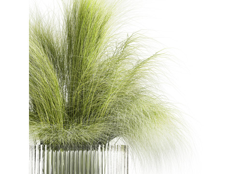 Bouquet green flowers in vase decorative grass 498 3D-Modell
