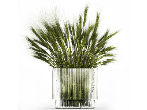 Summer Bouquet Of Wild Flowers Wheat Spikelet 499 3D Model