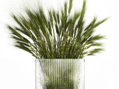 Summer Bouquet Of Wild Flowers Wheat Spikelet 499 3D 模型