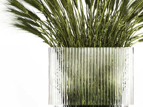 Summer Bouquet Of Wild Flowers Wheat Spikelet 499 3D 模型