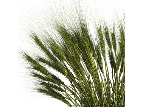 Summer Bouquet Of Wild Flowers Wheat Spikelet 499 3D 模型