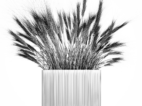 Summer Bouquet Of Wild Flowers Wheat Spikelet 499 3D 模型