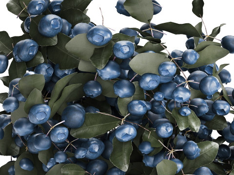 Bouquet Of Blueberry Branches In A Modern Glass 500 3D 모델