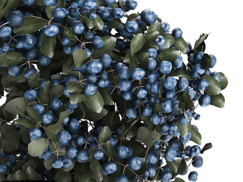 Bouquet Of Blueberry Branches In A Modern Glass 500 3D 모델