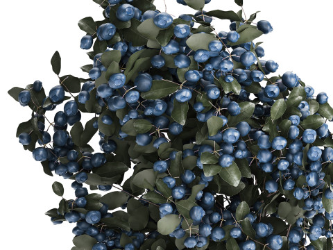 Bouquet Of Blueberry Branches In A Modern Glass 500 3D 모델