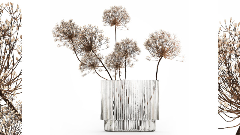Dried Flowers Vase Dry Branches Heracleum Hogweed 501 Modèle 3D .c4d .max .obj .3ds .fbx .stl .blend