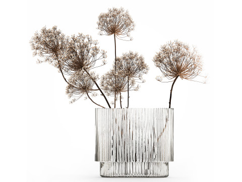 Dried Flowers Vase Dry Branches Heracleum Hogweed 501 3D Model