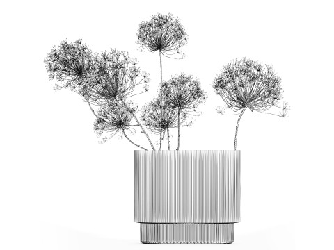 Dried Flowers Vase Dry Branches Heracleum Hogweed 501 Modèle 3D