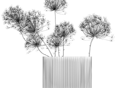 Dried Flowers Vase Dry Branches Heracleum Hogweed 501 Modèle 3D