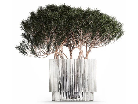 ガラスの花瓶の花束 針葉樹の松の枝 502 3Dモデル