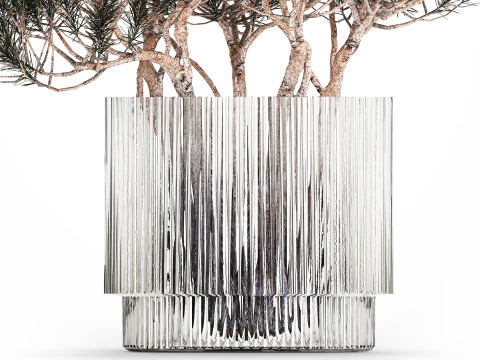 Bouquet In A Glass Vase Coniferous Pine Branches 502 Modelo 3D