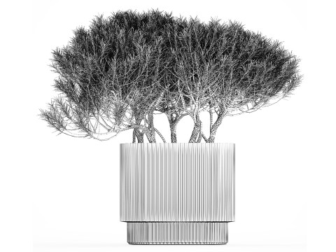 Bouquet In A Glass Vase Coniferous Pine Branches 502 Modelo 3D