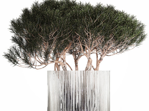 Bouquet In A Glass Vase Coniferous Pine Branches 502 Modelo 3D