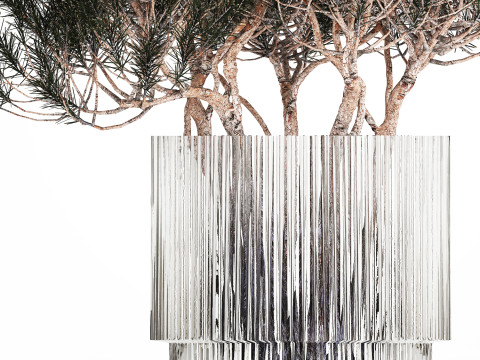 Bouquet In A Glass Vase Coniferous Pine Branches 502 Modelo 3D