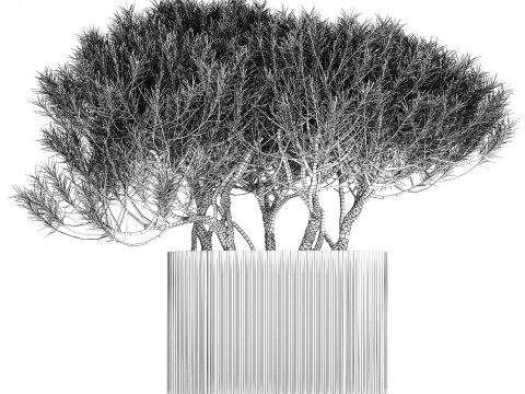 Bouquet In A Glass Vase Coniferous Pine Branches 502 Modelo 3D