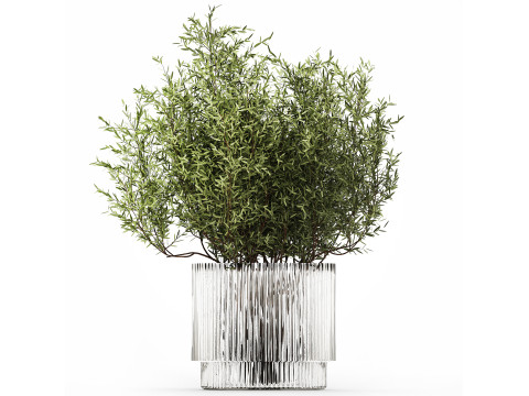 Bouquet in a glass vase of olive branches 503 3D Model