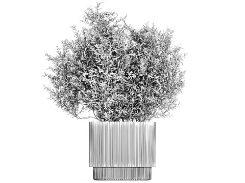 Bouquet in a glass vase of olive branches 503 3D मॉडल