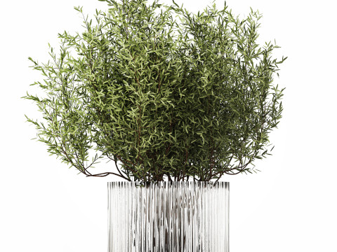 Bouquet in a glass vase of olive branches 503 3D मॉडल