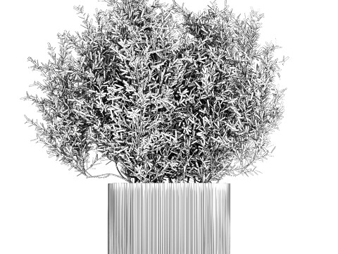 Bouquet in a glass vase of olive branches 503 3D मॉडल