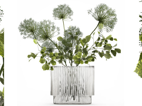 Flower Bouquet Of Green Branches And Hogweed 504 3D Model