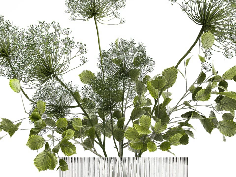 Flower Bouquet Of Green Branches And Hogweed 504 3D Model
