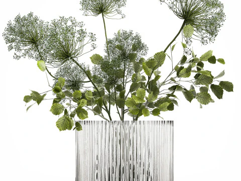 Flower Bouquet Of Green Branches And Hogweed 504 3D Model