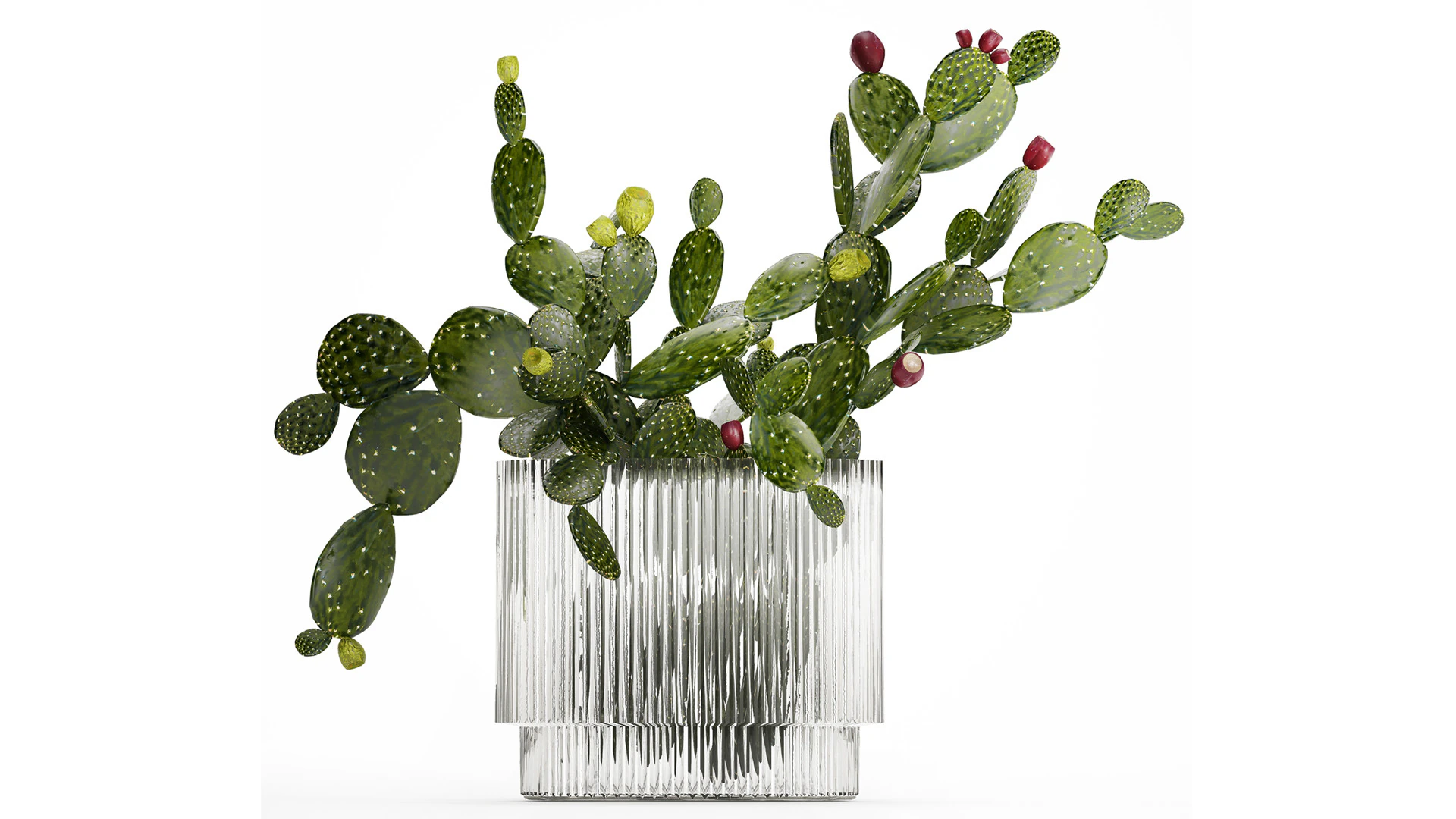 Tropical Flower Bouquet Vase Prickly Pear Cactus 507 3D Model .c4d .max .obj .3ds .fbx .stl .blend