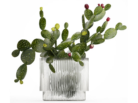 Tropical Flower Bouquet Vase Prickly Pear Cactus 507 3D Model