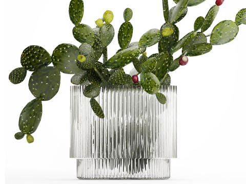Tropical Flower Bouquet Vase Prickly Pear Cactus 507 3Dモデル