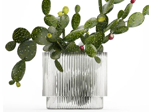 Tropical Flower Bouquet Vase Prickly Pear Cactus 507 3D Model