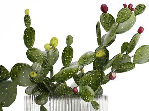 Tropical Flower Bouquet Vase Prickly Pear Cactus 507 3D Model
