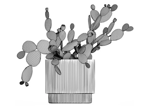 Tropical Flower Bouquet Vase Prickly Pear Cactus 507 3D Model