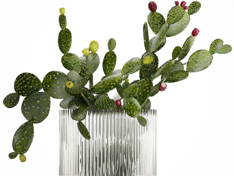 Tropical Flower Bouquet Vase Prickly Pear Cactus 507 3Dモデル