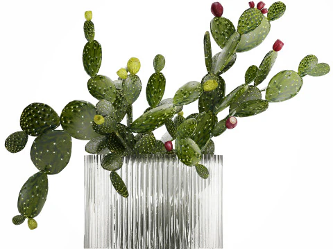 Tropical Flower Bouquet Vase Prickly Pear Cactus 507 3D Model