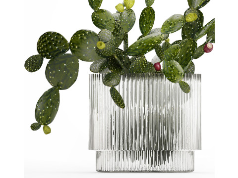 Tropical Flower Bouquet Vase Prickly Pear Cactus 507 3Dモデル