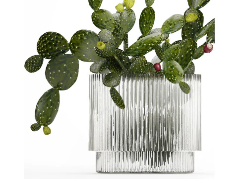 Tropical Flower Bouquet Vase Prickly Pear Cactus 507 3D Model