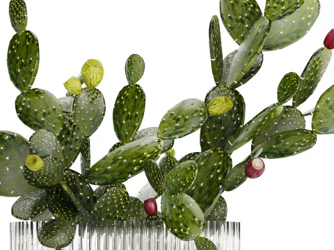 Tropical Flower Bouquet Vase Prickly Pear Cactus 507 3D Model