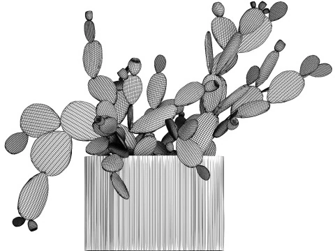 Tropical Flower Bouquet Vase Prickly Pear Cactus 507 3D Model