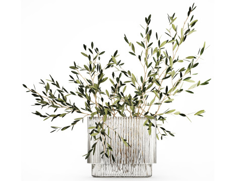Bouquet in a glass vase of olive branches 509 3D Model