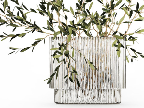 Bouquet in a glass vase of olive branches 509 3D मॉडल